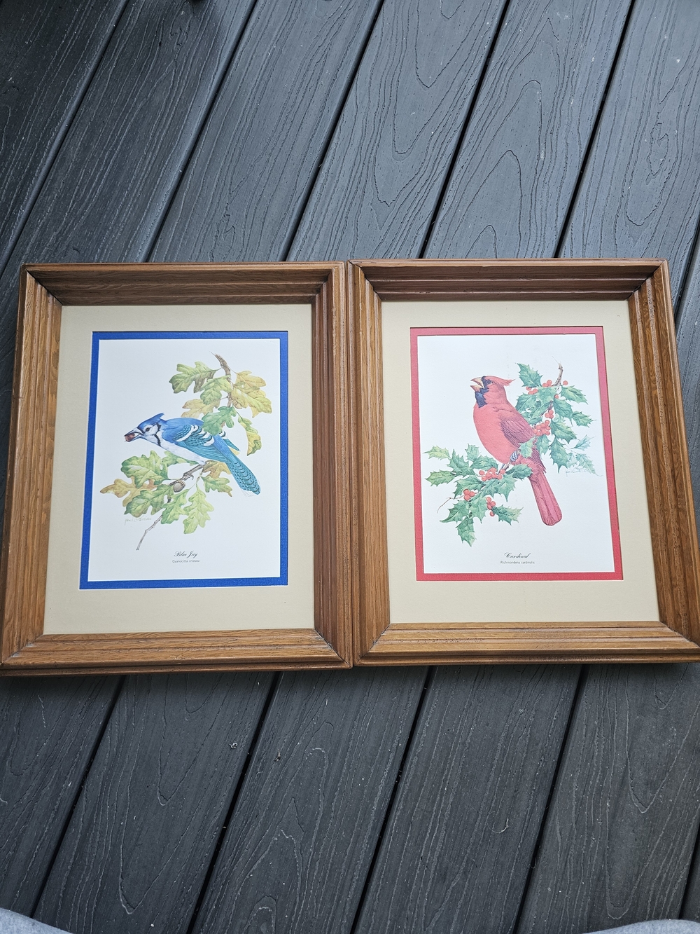 Vintage Framed Bird Prints Set of 2 – Blue Jay & Northern Cardinal